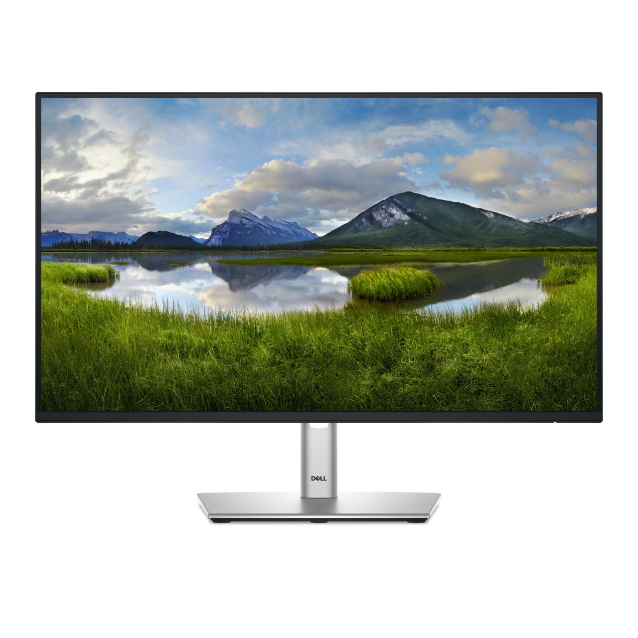 Dell P2425H - Full HD